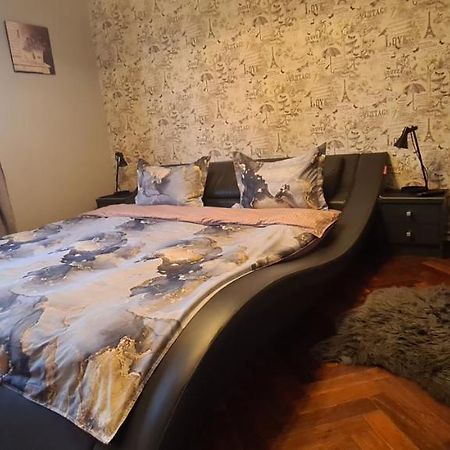 Comfort Home Apartment 1 Petroşani Εξωτερικό φωτογραφία