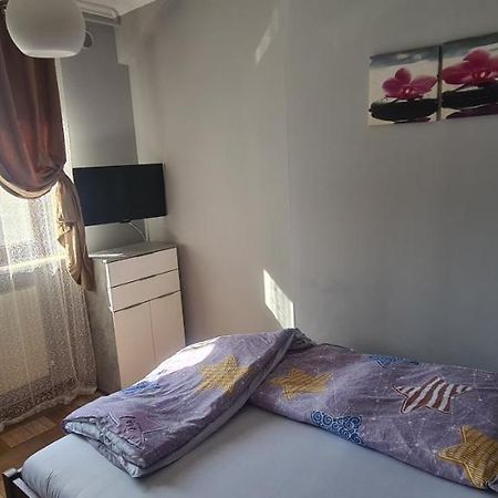 Comfort Home Apartment 1 Petroşani Εξωτερικό φωτογραφία