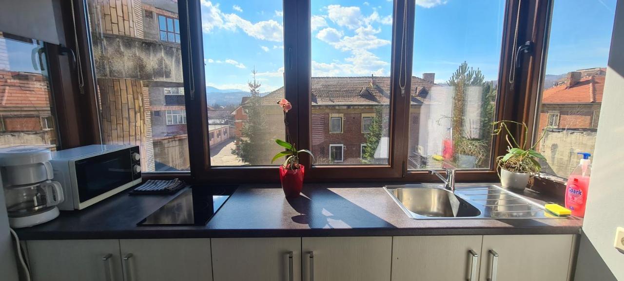 Comfort Home Apartment 1 Petroşani Εξωτερικό φωτογραφία
